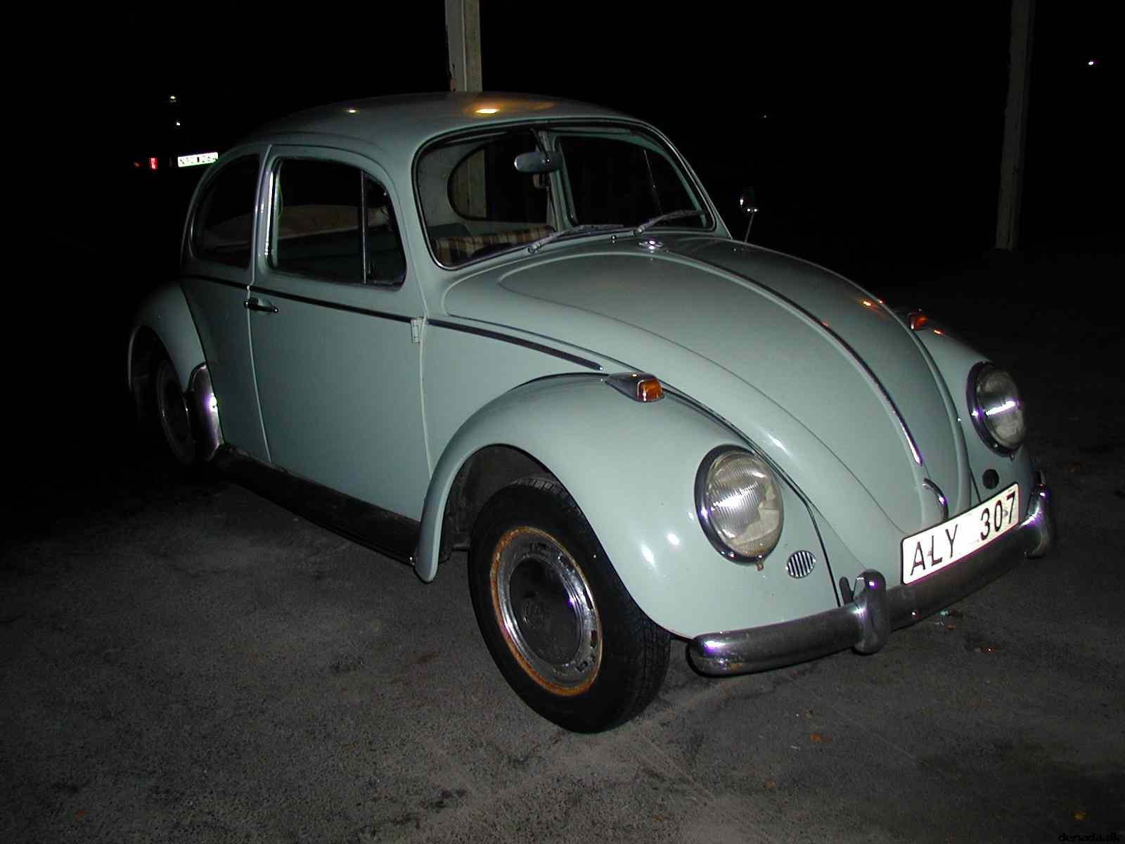 * Image 3