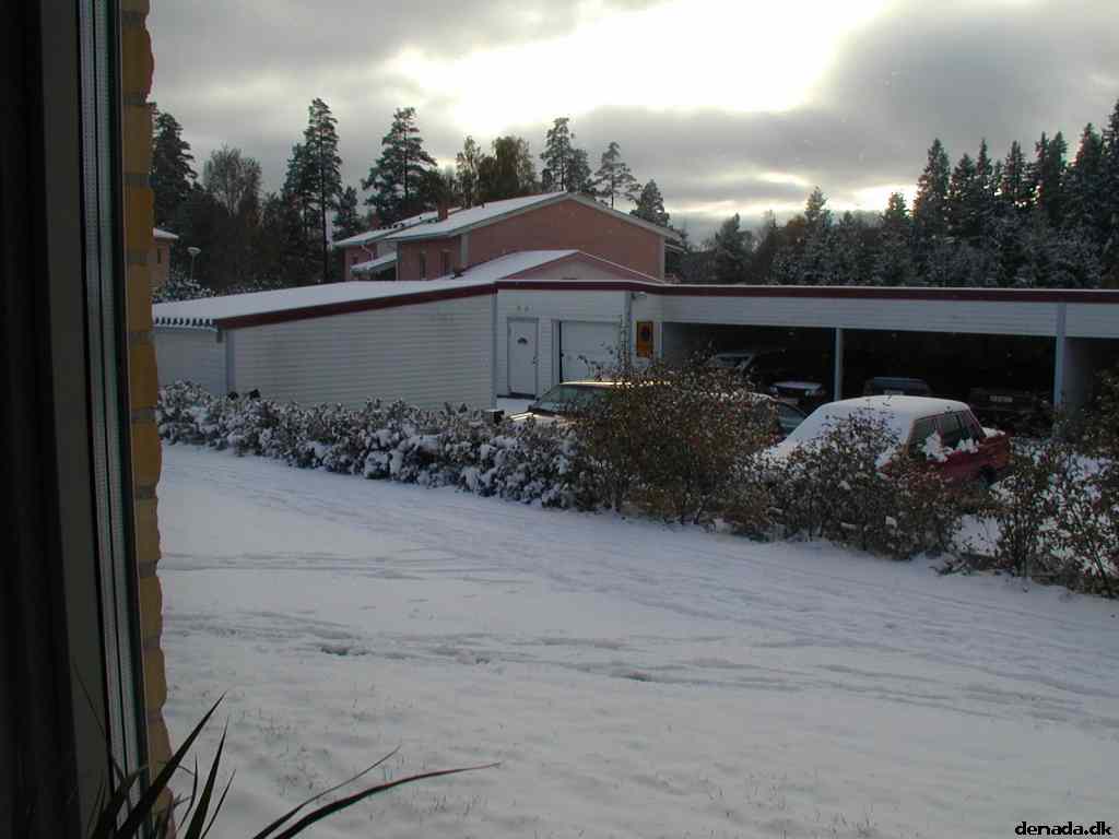 * Image 1