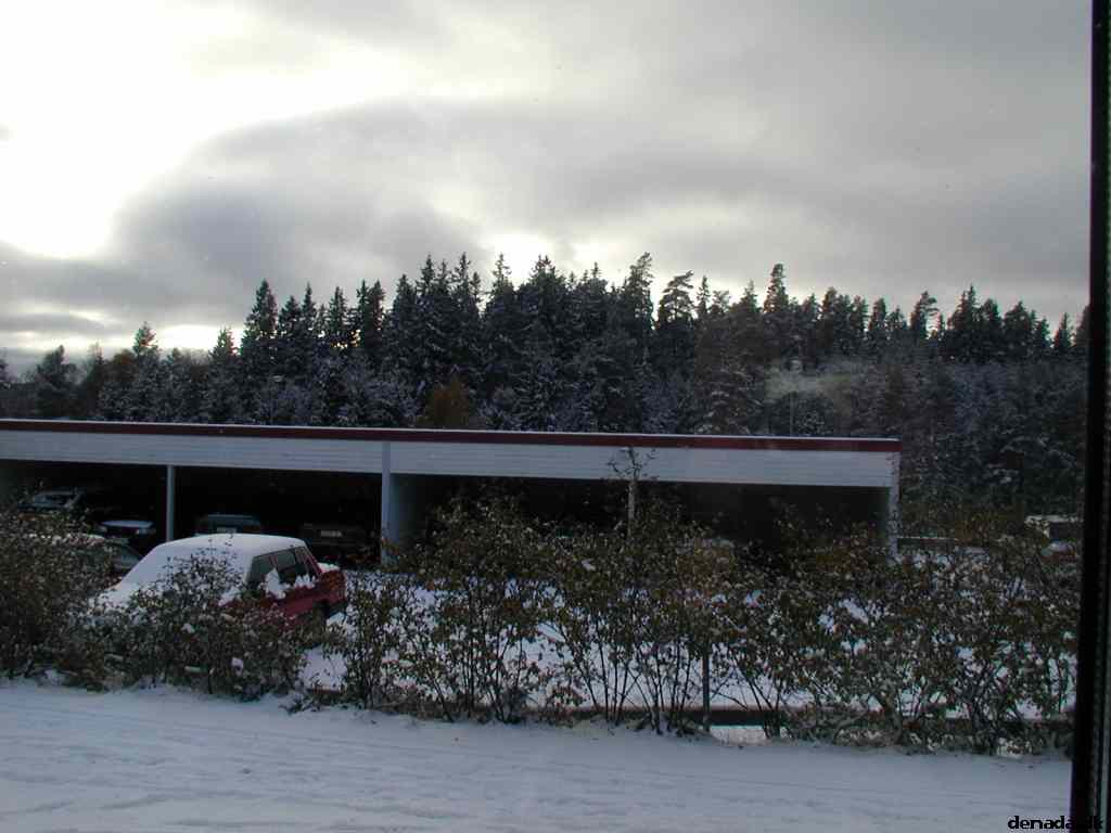 * Image 2