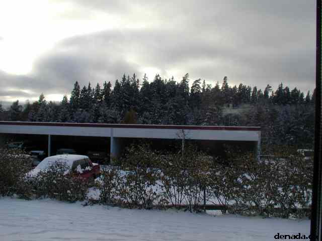 * Image 2