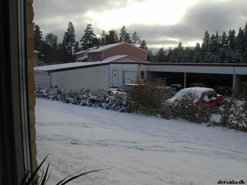 * Image 1