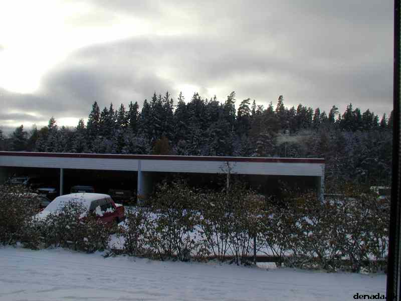 * Image 2