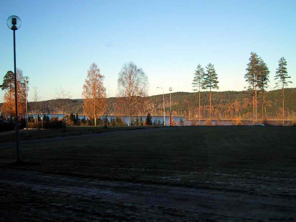 * Image 2