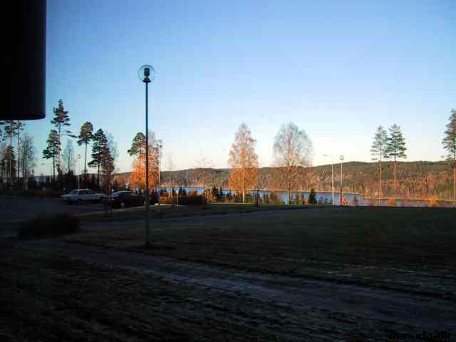 * Image 1