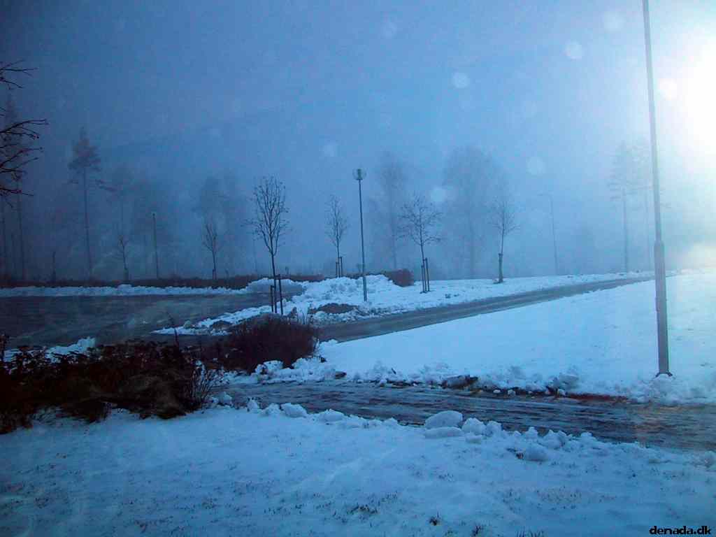 * Image 6