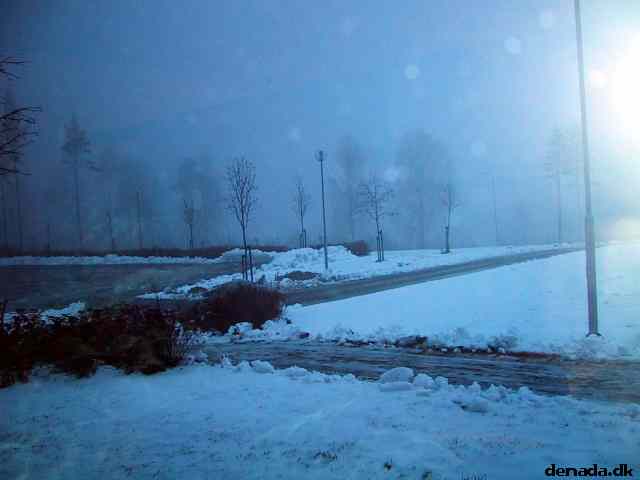 * Image 6