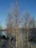 2002_12_24-14_04_48.jpg - 2002:12:24 13:04:48
