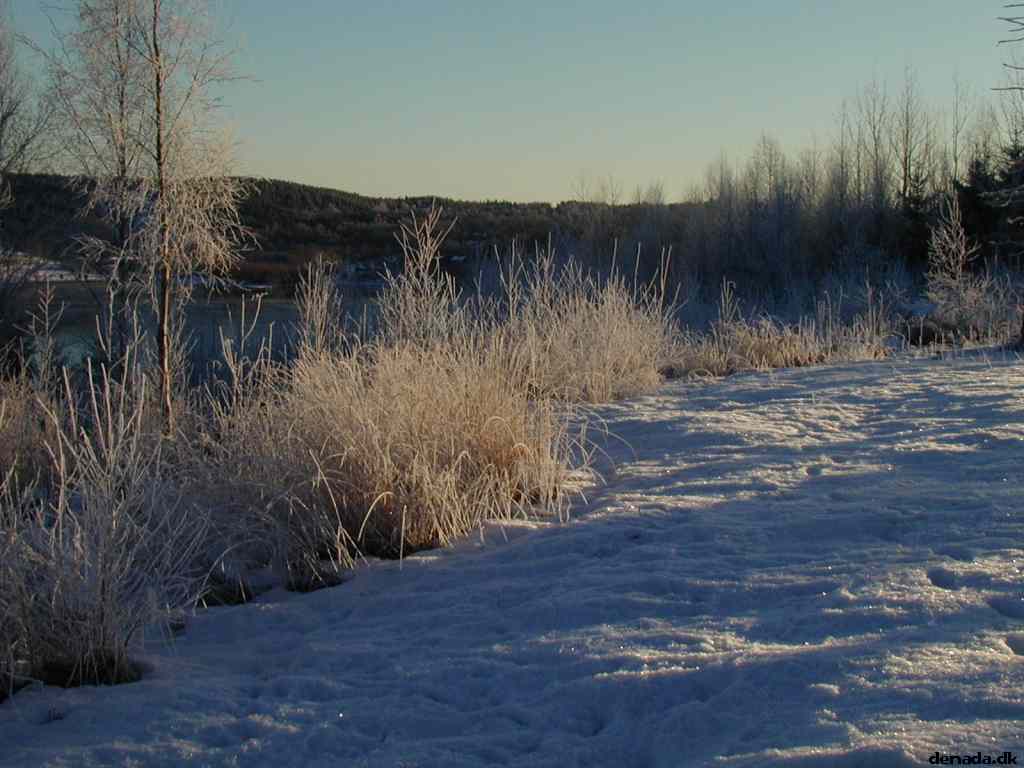 * Image 5