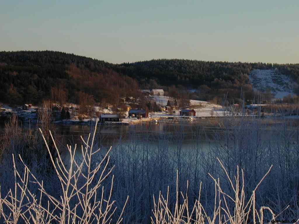 * Image 8