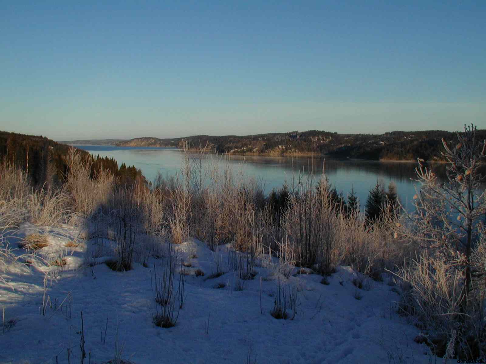 * Image 2
