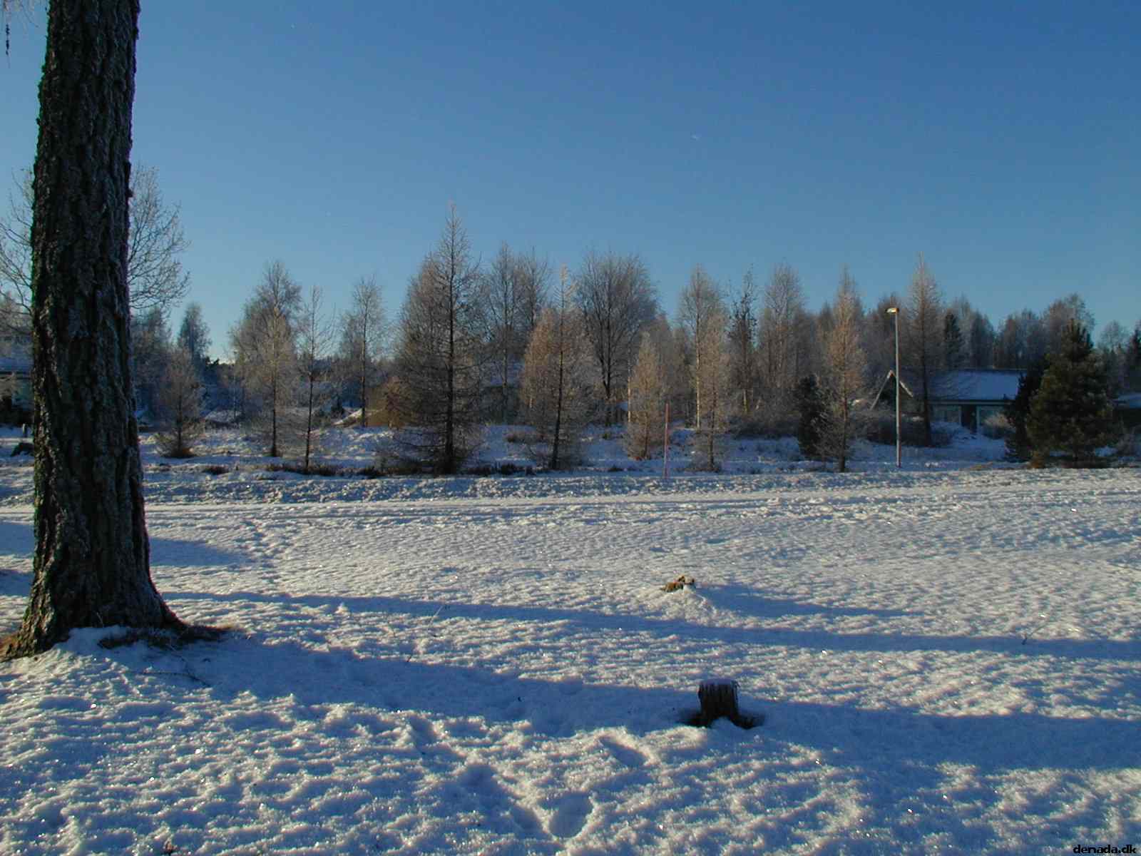 * Image 4
