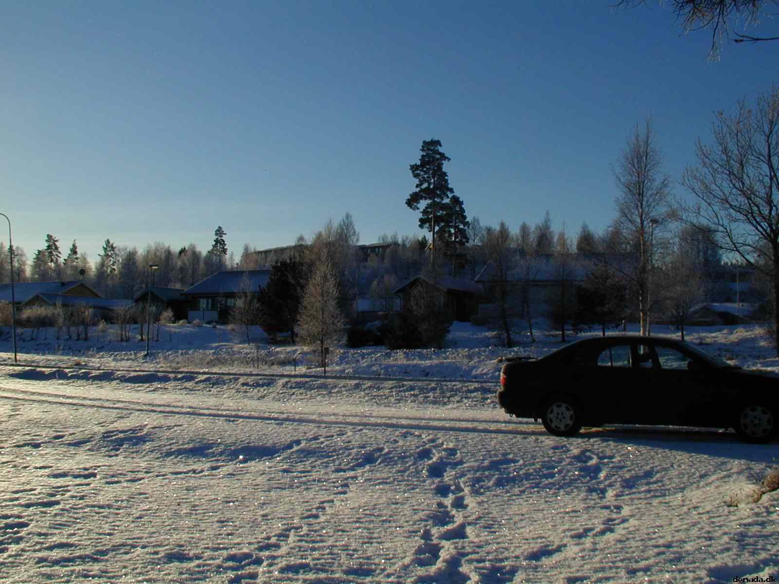 * Image 6