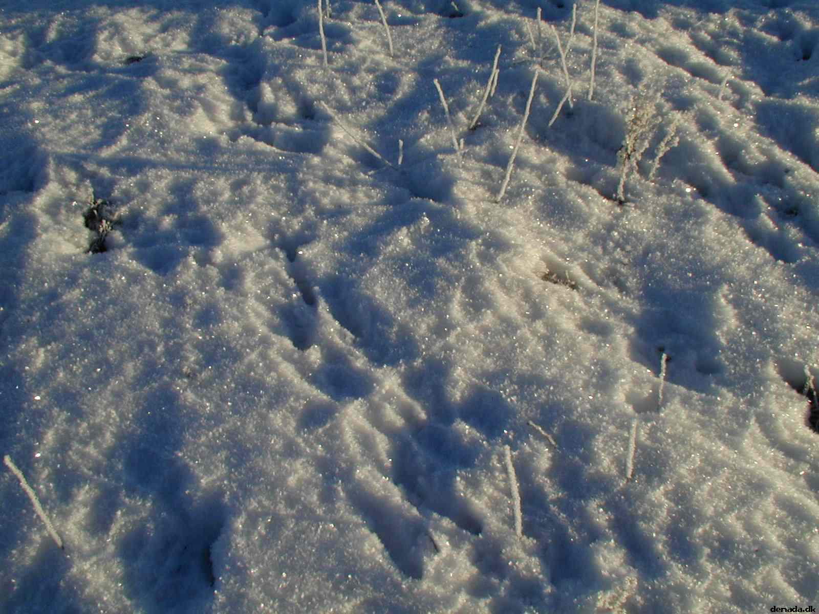 * Image 7