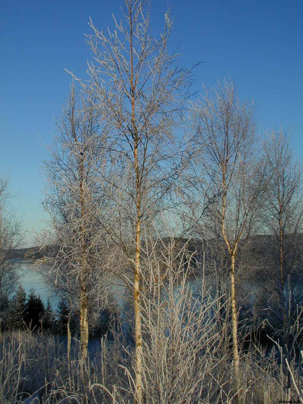 * Image 9