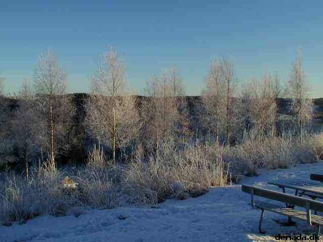 * Image 1
