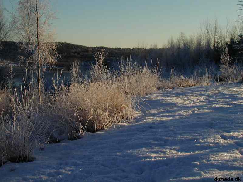 * Image 5