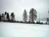 Untitled-4.jpg - 