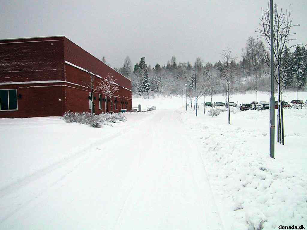 * Image 3