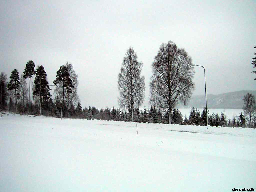 * Image 4