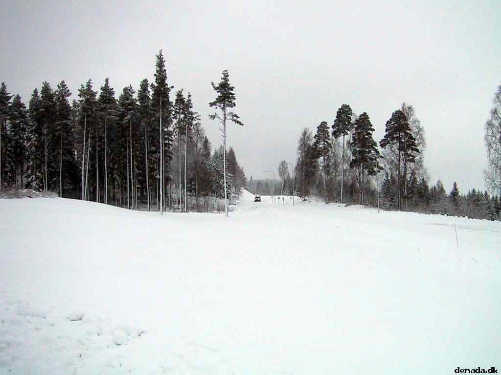 * Image 7