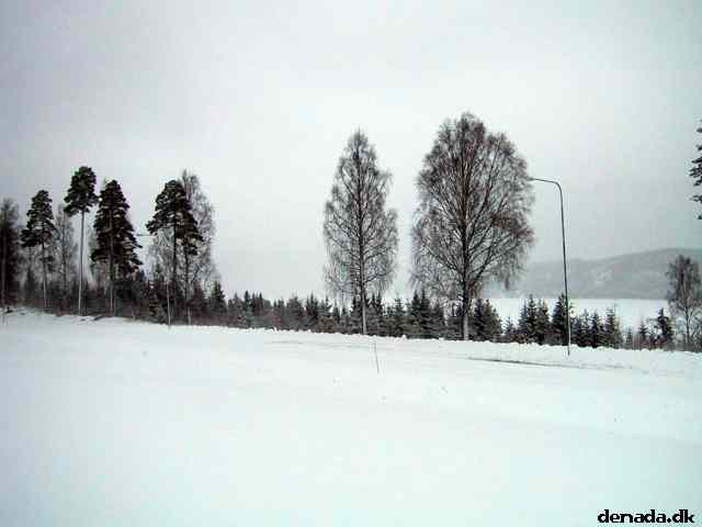 * Image 4
