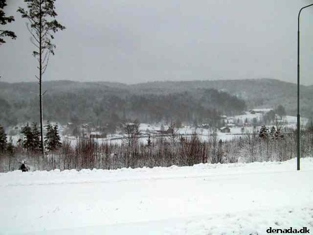 * Image 5