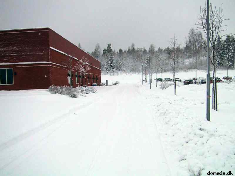 * Image 3