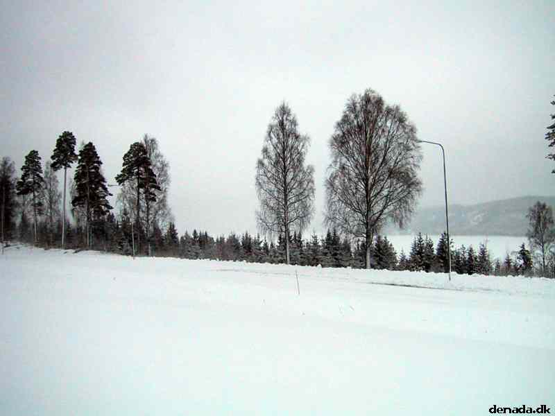 * Image 4