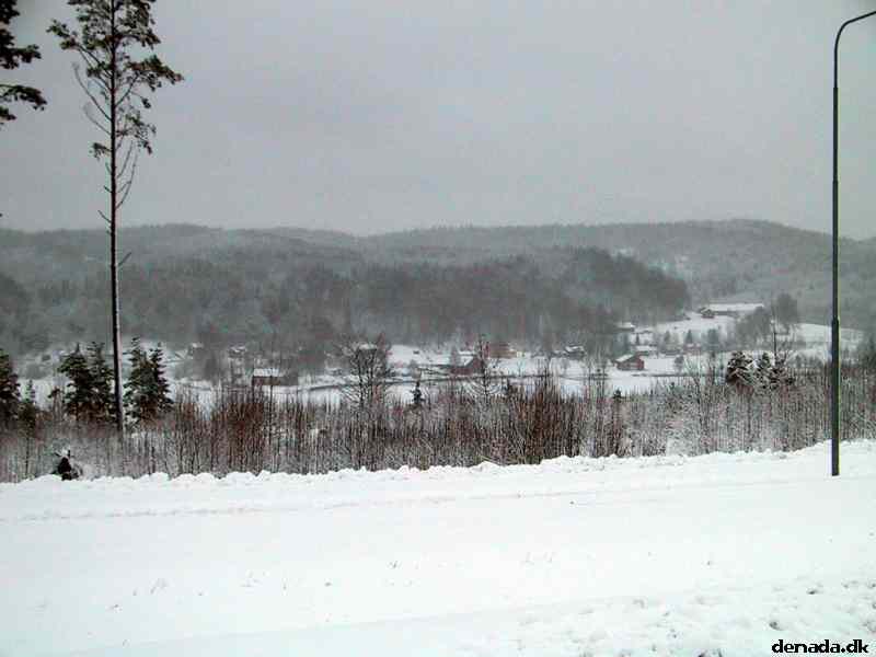 * Image 5