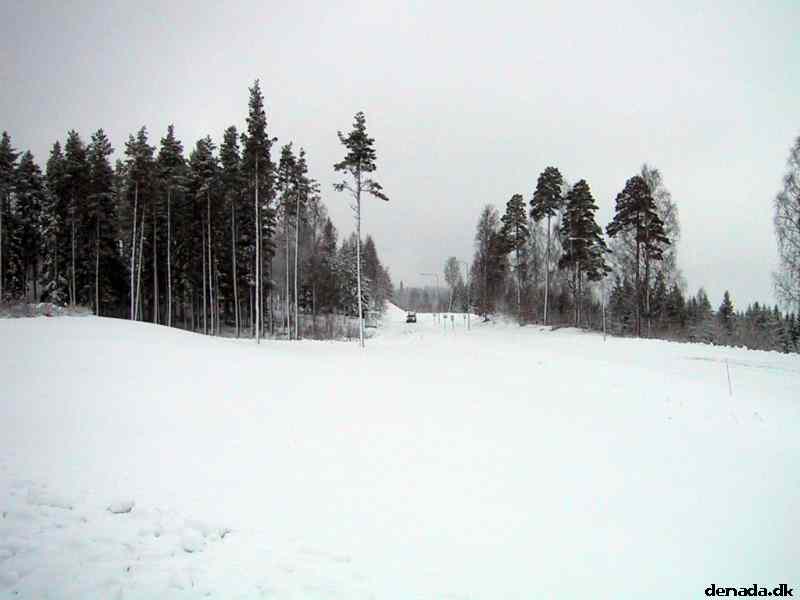 * Image 7