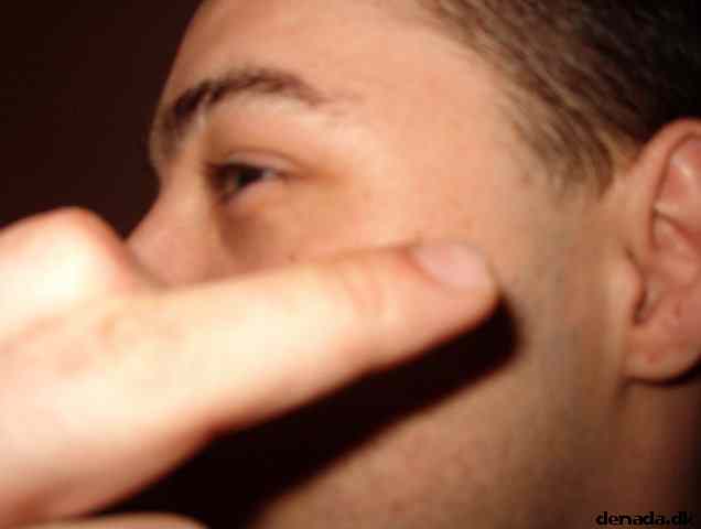 * Image 15