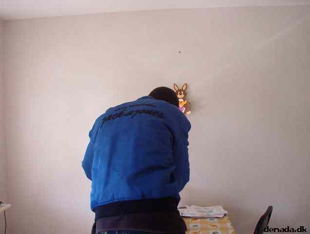 * Image 49