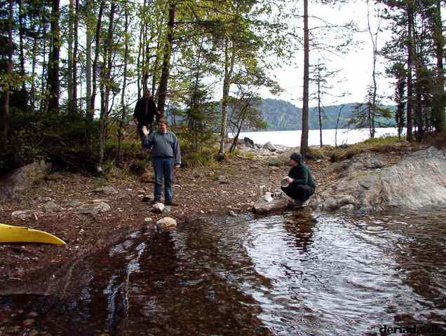 * Image 42