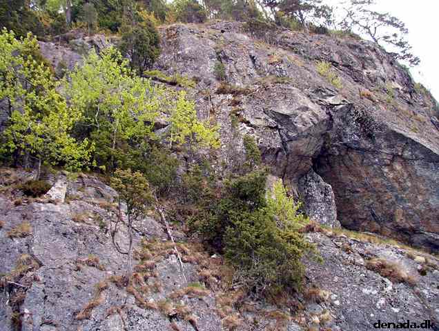 * Image 72