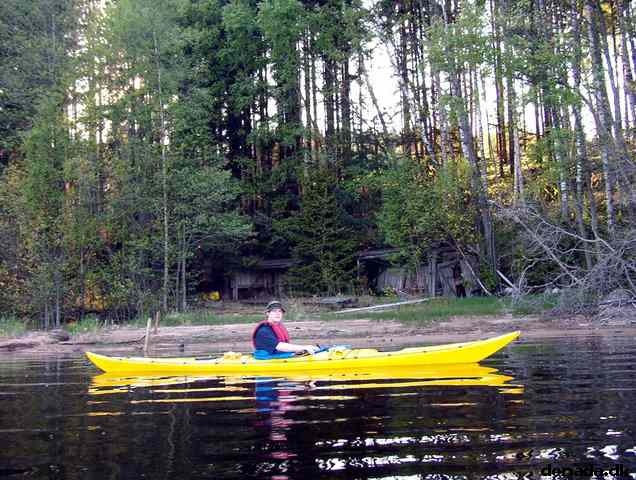 * Image 8