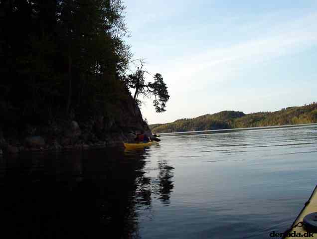 * Image 10