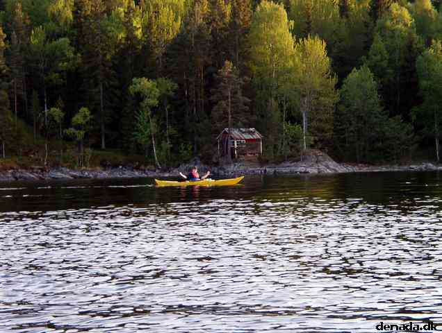 * Image 19