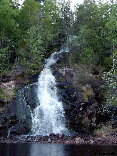 * Image 17