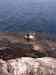 0056.jpg - 2002:01:01 00:24:42