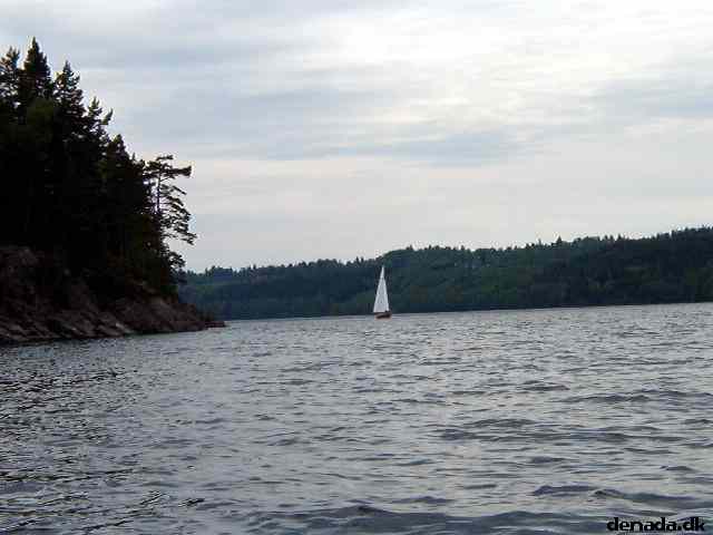 * Image 76