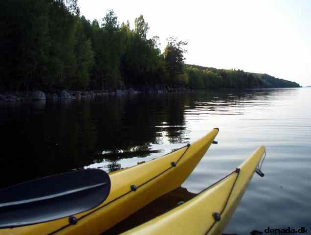 * Image 5