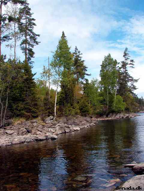 * Image 39