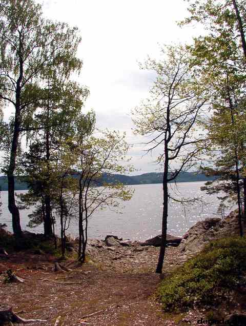 * Image 52