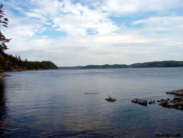 * Image 40