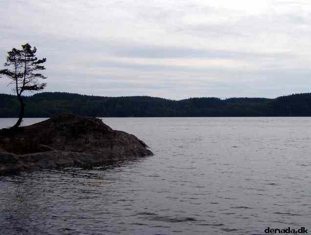 * Image 44