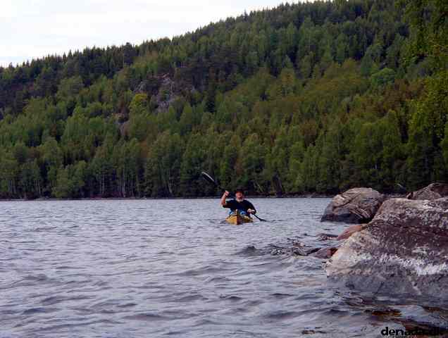 * Image 81