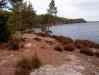 0031.jpg - 2002:01:01 13:44:29