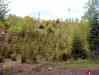 0049.jpg - 2002:01:01 00:18:03