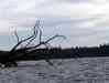 0080.jpg - 2002:01:01 02:57:06
