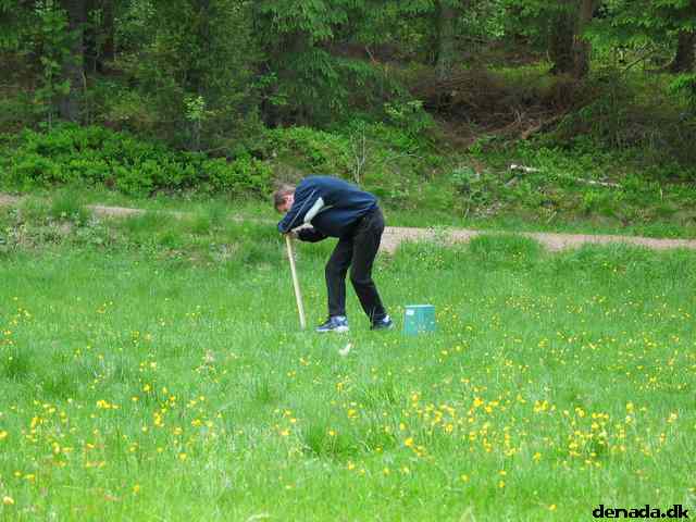 * Image 59